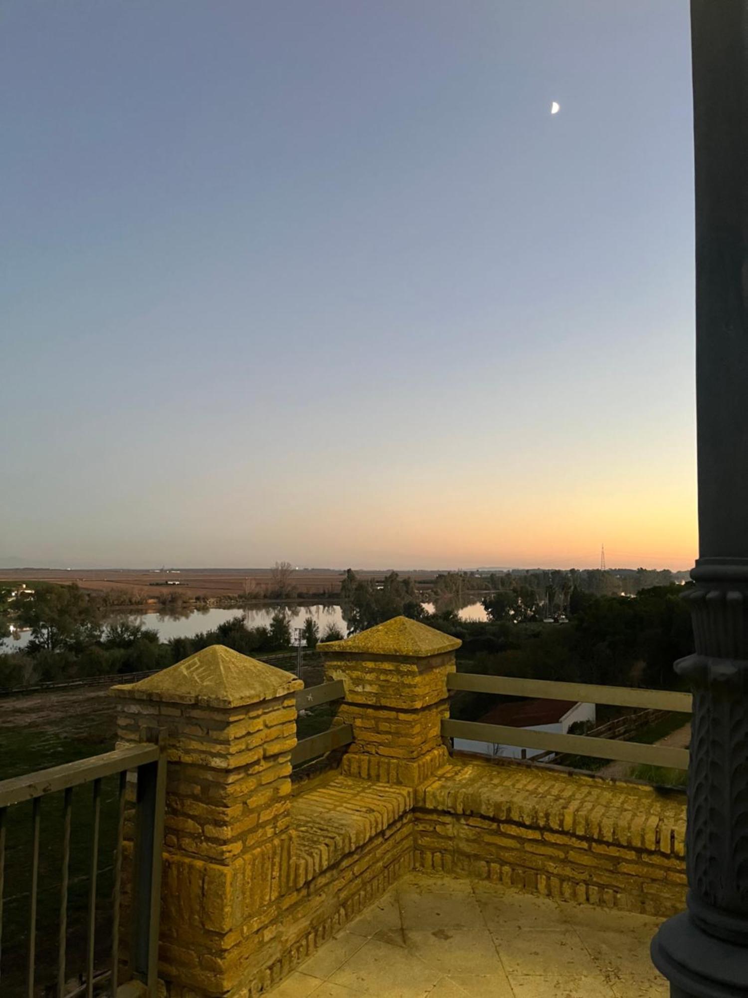 Estudio Las Palmillas La Puebla del Rio Bagian luar foto